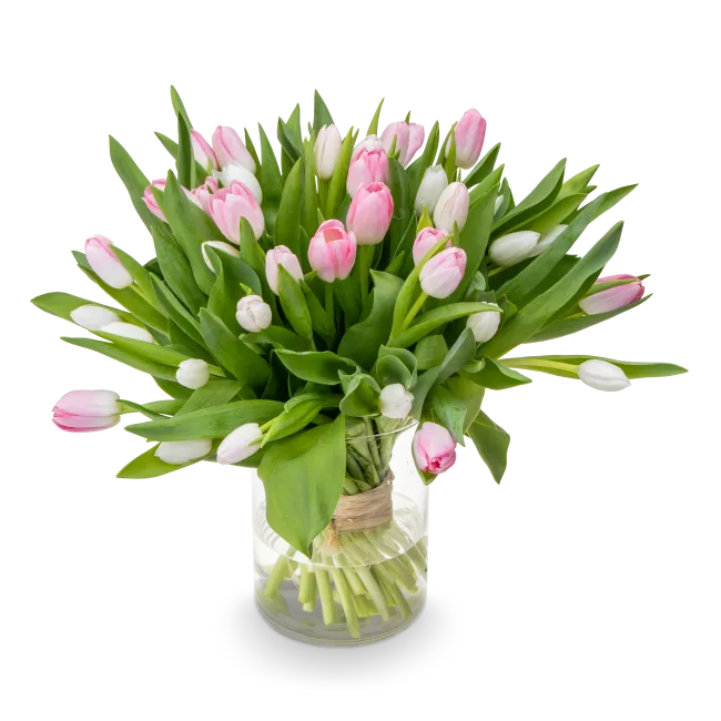 Bouquet of pink tulips